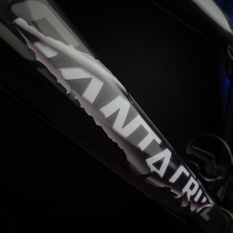 SANTA CRUZ RIPPER DECALS