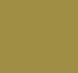 DT SWISS E1900 27.5 CAMO